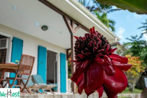 Charming Creole house